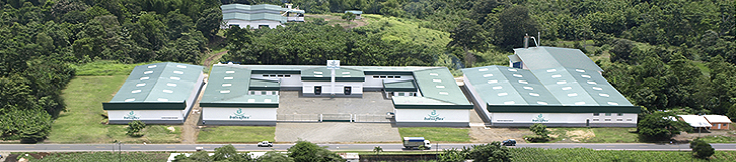 Our production facilities in Ecuador
